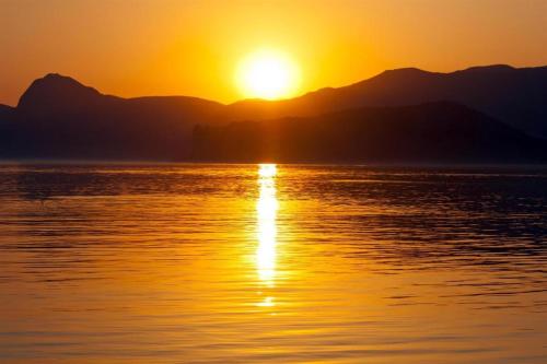 Imagen general del Hotel Palu Golden. Foto 10