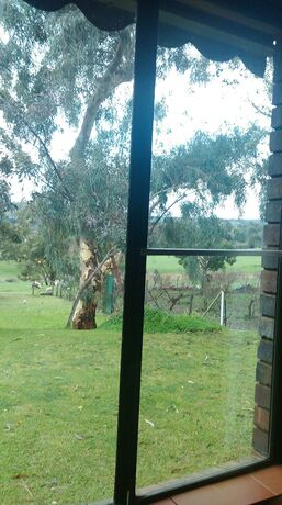 Imagen general del Hotel Pamela's Retreat. Foto 3