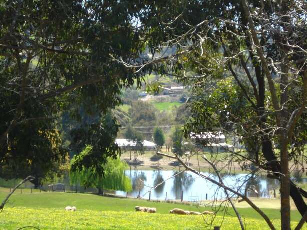 Imagen general del Hotel Pamela's Retreat. Foto 11