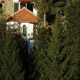 Imagen general del Hotel Pamporovo Village. Foto 9