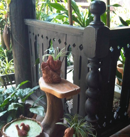 Imagen de los exteriores del Hotel Pan Kled Villa Eco Hill Resort. Foto 14