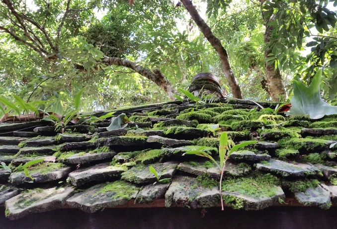 Imagen de los exteriores del Hotel Pan Kled Villa Eco Hill Resort. Foto 17