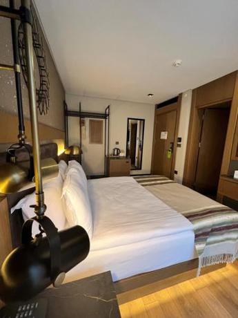 Imagen de la habitación del Hotel Panagia Premier Trabzon. Foto 20