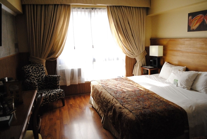 Imagen de la habitación del Hotel Panamericano, Santigo. Foto 8