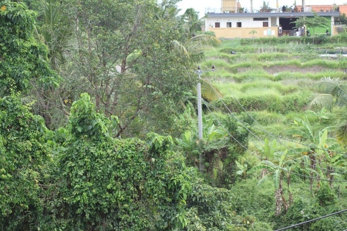 Imagen de los exteriores del Hotel Pande Permai Bungalows. Foto 11