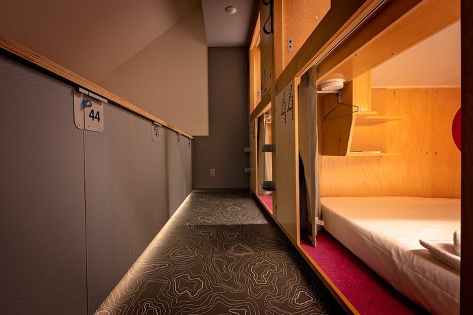 Imagen de la habitación del Hotel Pangea Pod. Foto 8