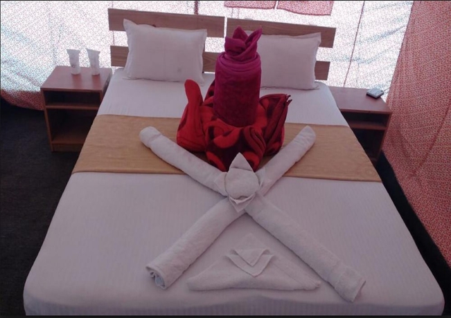 Imagen de la habitación del Hotel Pangong Heritage Camp. Foto 9