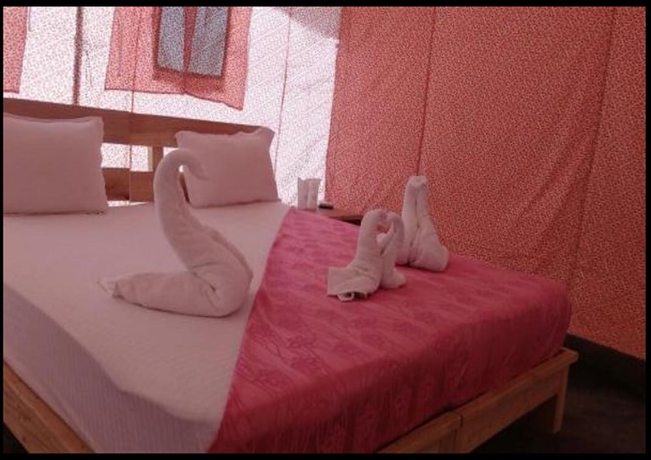 Imagen de la habitación del Hotel Pangong Heritage Camp. Foto 10