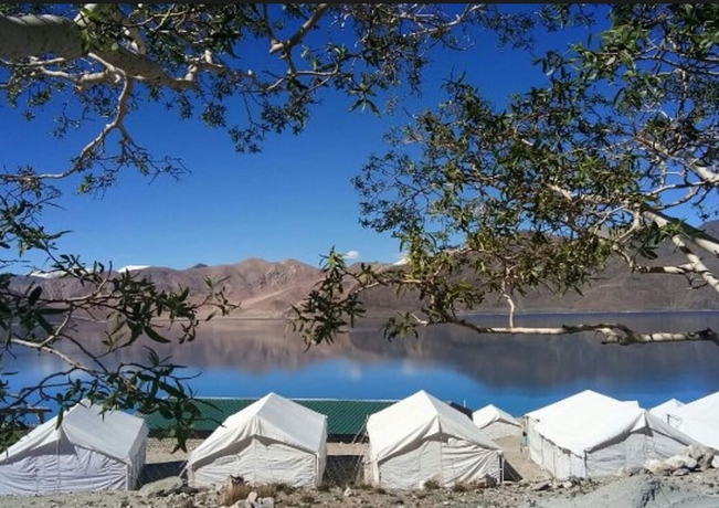 Imagen general del Hotel Pangong Heritage Camp. Foto 1