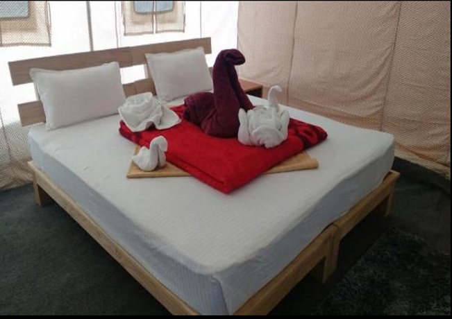 Imagen de la habitación del Hotel Pangong Heritage Camp. Foto 11