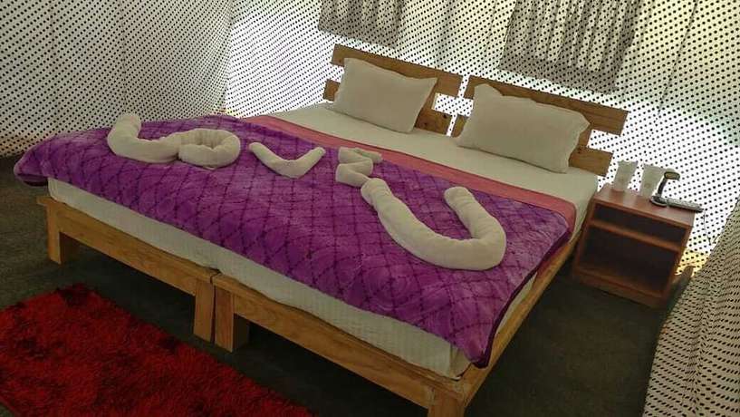 Imagen de la habitación del Hotel Pangong Heritage Resort. Foto 9