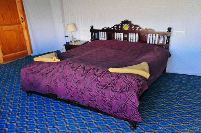 Imagen general del Hotel Pangong Sarai. Foto 11