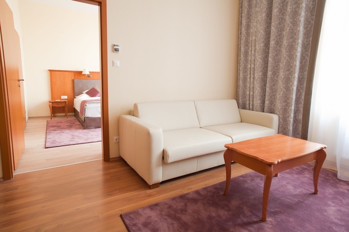 Imagen de la habitación del Hotel Pannonia. Foto 8