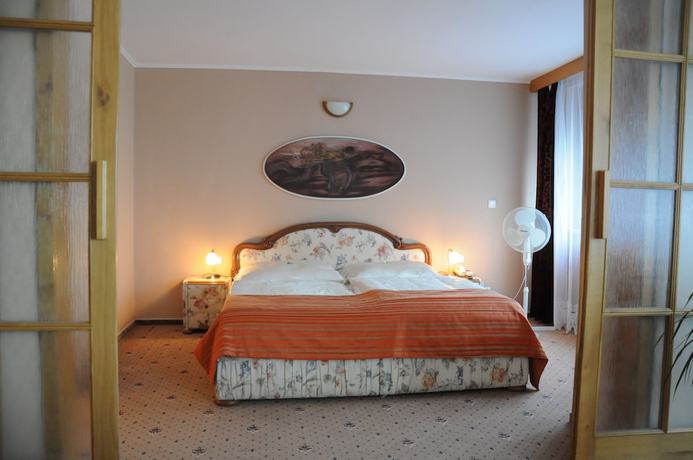 Imagen de la habitación del Hotel Panon. Foto 19