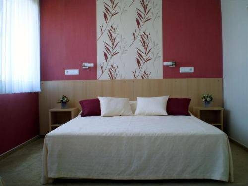 Imagen general del Hotel Panonija. Foto 2
