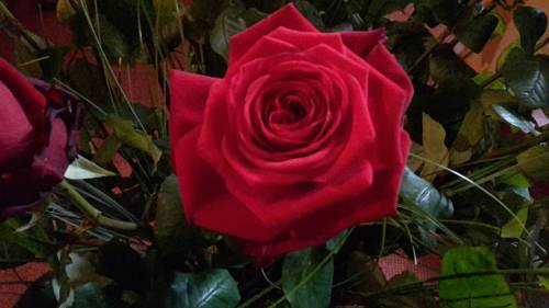 Imagen de la habitación del Hotel Panorama Gasthof Leidingerhof. Foto 9