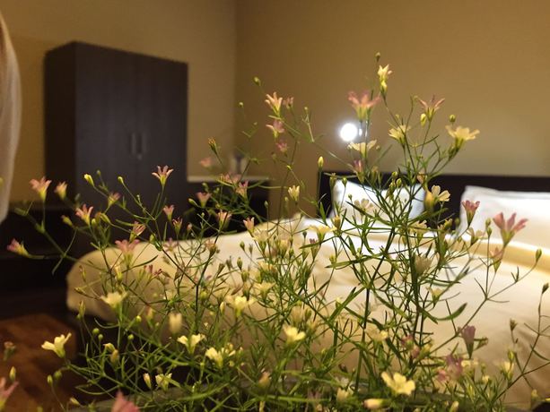 Imagen de la habitación del Hotel Panorama Green View. Foto 11