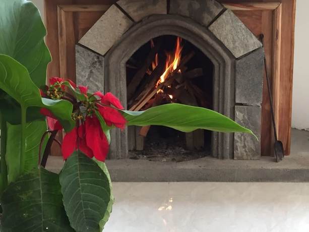 Imagen de los interiores del Hotel Panorama Green View. Foto 19