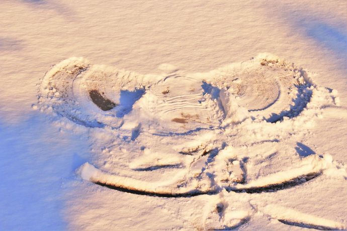 Imagen de los exteriores del Hotel Panorama Jindabyne. Foto 14