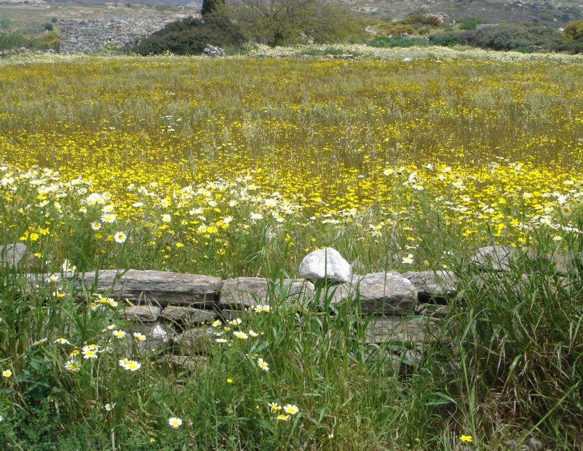 Imagen general del Hotel Panorama, Naxos Ciudad. Foto 25