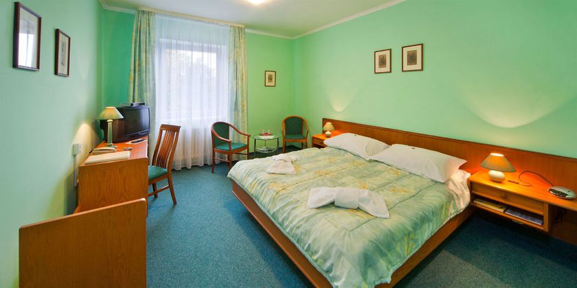 Imagen de la habitación del Hotel Panorama, PILSEN. Foto 7