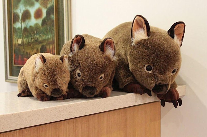 Imagen de los interiores del Hotel Panorama Retreat and Resort. Foto 18