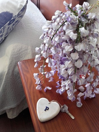 Imagen de la habitación del Hotel Panorama Tapia. Foto 15