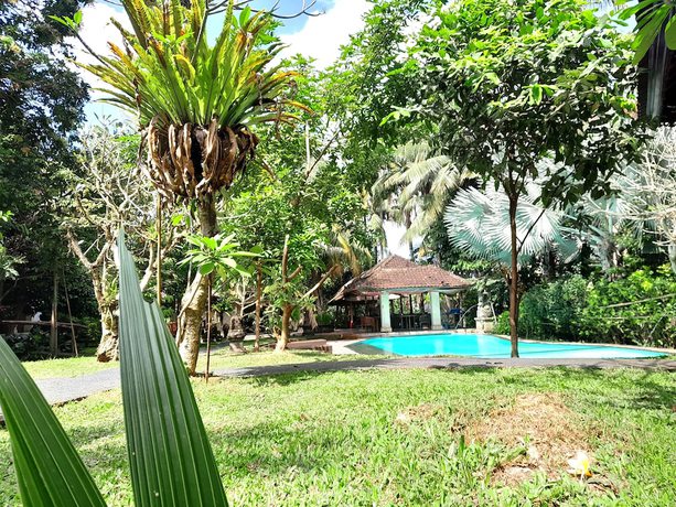 Imagen de la piscina del Hotel Panorama Ubud. Foto 18