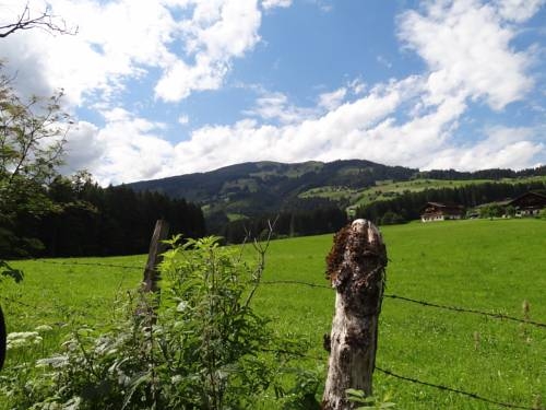 Imagen general del Hotel Panoramagasthof Hohe Brücke. Foto 16