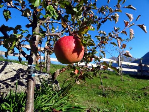 Imagen general del Hotel Panoramagasthof Hohe Brücke. Foto 23