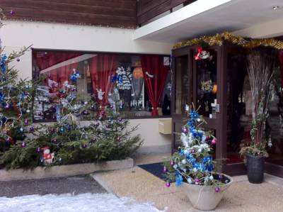 Imagen general del Hotel Panoramic, Chatel. Foto 6