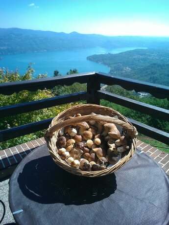 Imagen general del Hotel Panoramico, Orta San Giulio. Foto 13