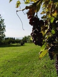 Imagen general del Hotel Pansion Gec. Foto 10