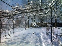 Imagen general del Hotel Pansion Gec. Foto 14