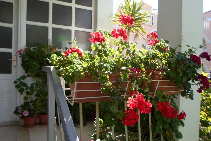 Imagen de los interiores del Hotel Pansion Lovac. Foto 8