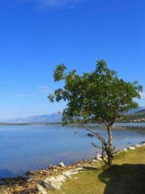 Imagen general del Hotel Pansion Mikinac. Foto 10