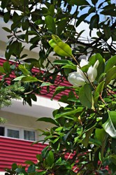 Imagen general del Hotel Pansionat Yuzniy. Foto 4