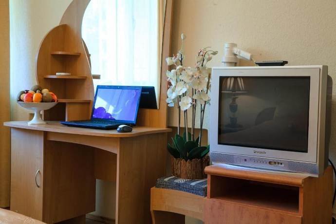 Imagen de la habitación del Hotel Pansionat Zvenigorodskiy. Foto 7