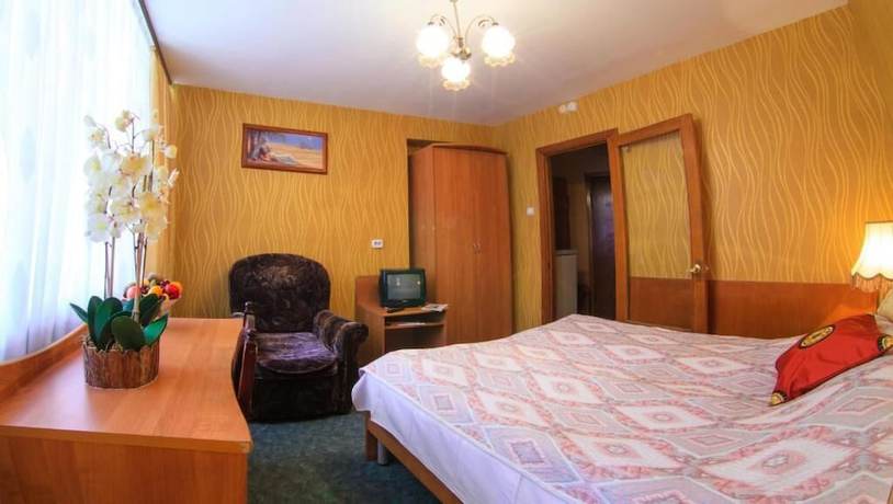 Imagen de la habitación del Hotel Pansionat Zvenigorodskiy. Foto 8