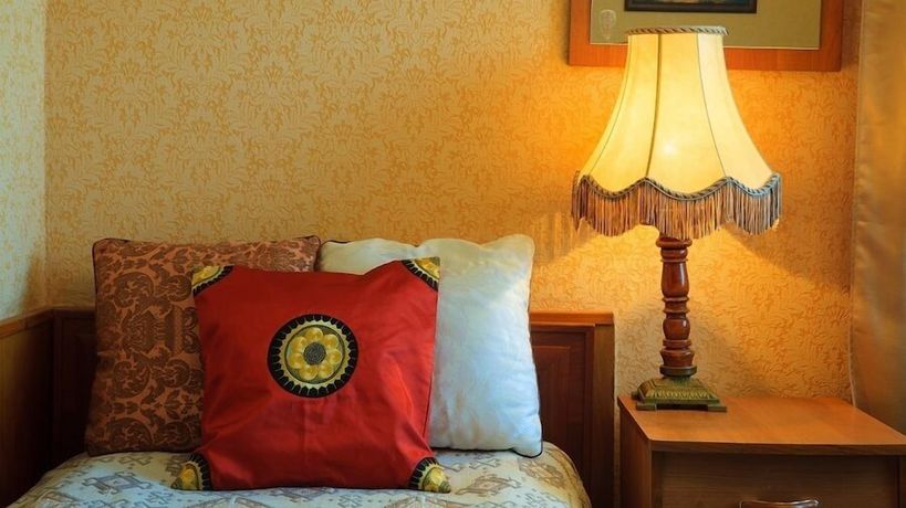 Imagen de la habitación del Hotel Pansionat Zvenigorodskiy. Foto 11