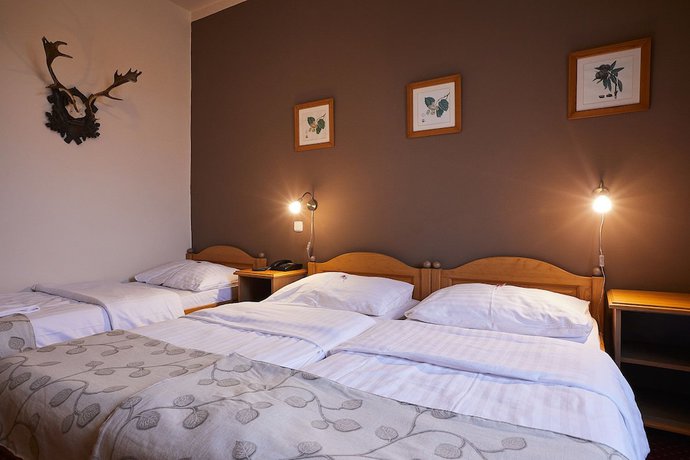 Imagen de la habitación del Hotel Panská. Foto 9