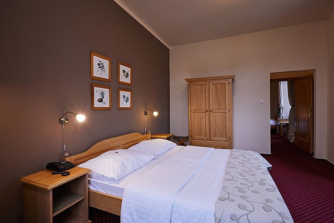 Imagen de la habitación del Hotel Panská. Foto 10