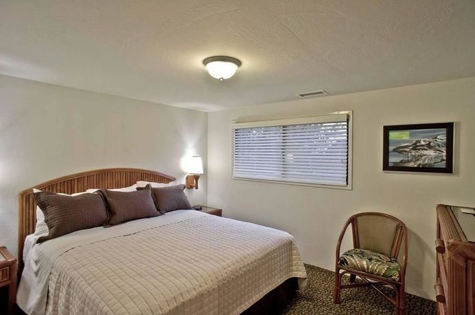 Imagen de la habitación del Hotel Pantai Inn. Foto 15