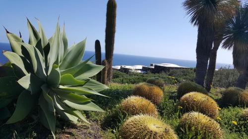 Imagen de la habitación del Hotel Pantelleria Dream. Foto 9