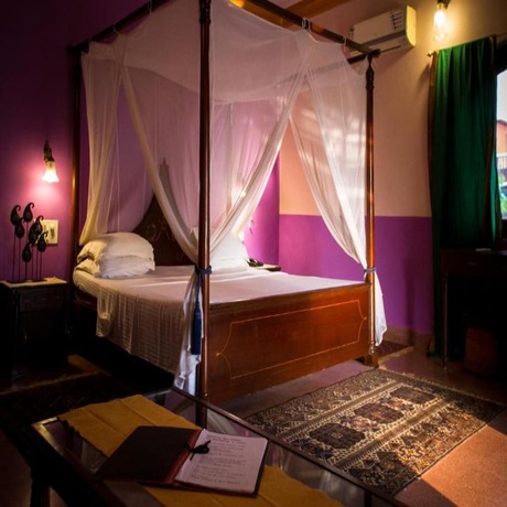 Imagen de la habitación del Hotel Papa Jolly Eco Resort - Near Morjim Beach. Foto 22