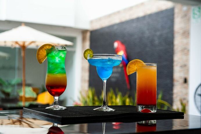 Imagen general del Hotel Papagayo Boutique, Morales. Foto 3