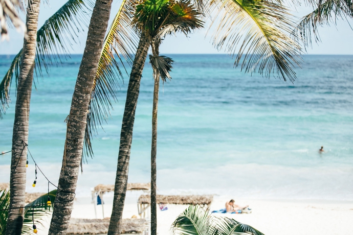 Imagen de los exteriores del Hotel Papaya Playa Project. Foto 11