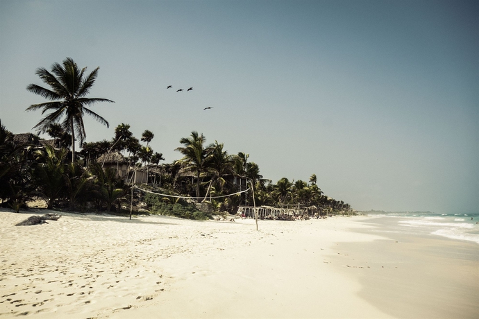 Imagen de los exteriores del Hotel Papaya Playa Project. Foto 13