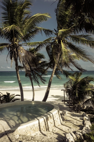 Imagen de la piscina del Hotel Papaya Playa Project. Foto 15