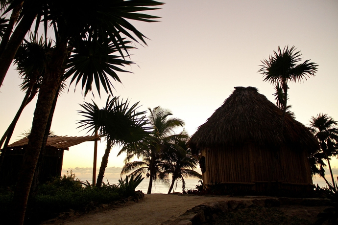 Imagen de los interiores del Hotel Papaya Playa Project. Foto 14